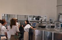 Olive oil Mill Visit-Kalamata Olives and Olive oil Tasting