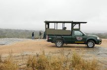 Kruger Park Safari - Morning Private Vehicle from Hazyview