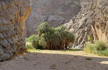 Hidden Wonders of Wadi Hisma: A Desert Adventure