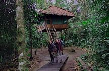 6 Days Tour at Manu Rainforest Lodge
