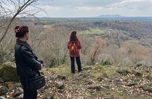 The Lamone Jungle: between brigands and coalmen