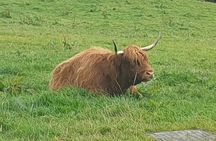Stirling and Loch Lomond. Myth, Royalty, Scenery and Whisky