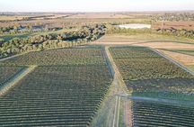 Wine Tour to Colonia Caroya, Cordoba - Half Day