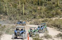 Ancient Ruins Tour - Guided Arizona Desert Tour by UTV