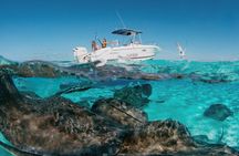 Private Charter Reef fishing, Stingray City, Snorkel, Mangroves