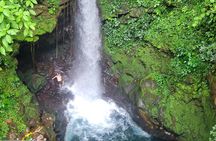 Rincón de la Vieja Volcano Hike, Blue Waterfall & Hot Springs