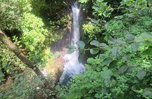 Volcano Hike, Oropendola Waterfall & Hot Springs Experience
