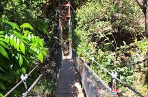 Rincón de la Vieja Volcano Hike, Blue Waterfall & Hot Springs
