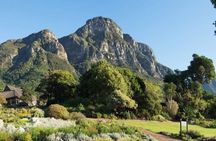 Kirstenbosch Botanical Gardens and Wine Tasting in Constantia
