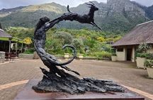 Kirstenbosch Botanical Gardens and Wine Tasting in Constantia