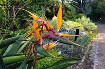 Kirstenbosch Botanical Gardens and Wine Tasting in Constantia