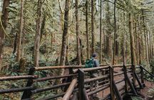 Waterfall Wonderland Hike with Transport