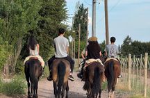 Horseback riding and lodging in Mendoza
