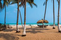 Tour to Palomino, breakfast, lunch with hotel pickup 