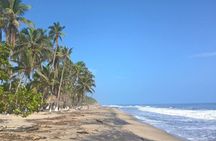 Tour to Palomino, breakfast, lunch with hotel pickup 