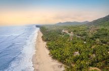 Tour to Palomino, breakfast, lunch with hotel pickup 