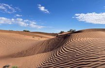 2-day trek - In the footsteps of beetles