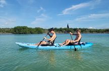 Kayak through Mangrove Forests in the Florida Keys