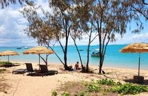 Coastal Beach Escape - Dingo Beach & Cape Gloucester
