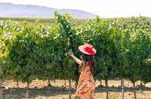 Private All-Inclusive 3-Winery SYV Tour from Santa Barbara