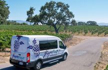 Private All-Inclusive 3-Winery SYV Tour from Santa Barbara