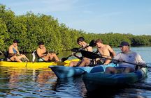 Kayak through Mangrove Forests in the Florida Keys