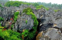 Stone Forest + Yiliang Roast Duck + Kunming City Private Tour