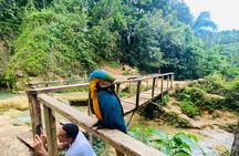 Samaná, Cayo Lemon Waterfall from Punta Cana
