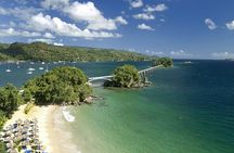 Samaná Whale Watching + Raised Key from Punta Cana