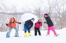 Snowshoe tours in Niseko Explore beautiful snowscapes adventure