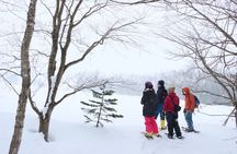 Snowshoe tours in Niseko Explore beautiful snowscapes adventure