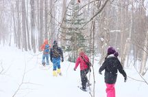 Snowshoe tours in Niseko Explore beautiful snowscapes adventure