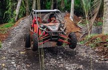 Private Bali UTV Adventure 