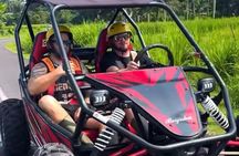 Bali UTV Buggy Adventure Ubud
