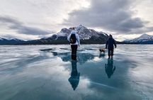 Athabasca Falls/Abraham,Sunwapta Falls,Icefield & Peyto Lake Tour