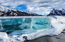 Athabasca Falls/Abraham,Sunwapta Falls,Icefield & Peyto Lake Tour