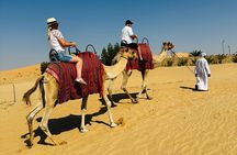 Abu Dhabi: Private Camel Trekking Experience