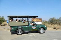 Kruger Park Safari Full Day Private Vehicle from Hazyview