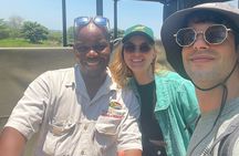 Kruger Park Safari Full Day Private Vehicle from Hazyview