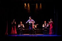 Authentic Flamenco Show at the Teatro Flamenco Granada