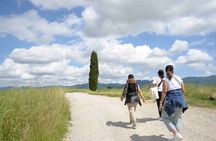 Hike & Wine Tour