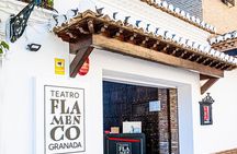 Authentic Flamenco Show at the Teatro Flamenco Granada