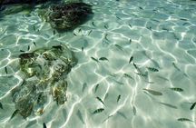 Khai Islands Speedboat Trip Half Day Tour 