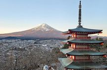From Tokyo: Mount Fuji Full Day Private Tour With Engish Driver 