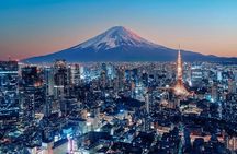 Tokyo Full Day Customizable Tour with English Speaking Driver