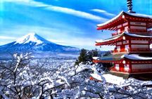 From Tokyo: Mount Fuji Full Day Private Tour With Engish Driver 