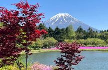 From Tokyo: Mount Fuji Full Day Private Tour With Engish Driver 