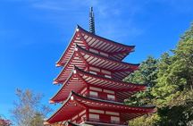 From Tokyo: Mount Fuji Full Day Private Tour With Engish Driver 