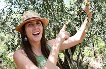 Homestead Celebration Hike