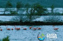 Tour to the best beaches; snorkel with fish and turtles 
